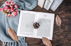 《启示录11章》读后感